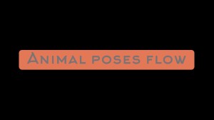 Animal poses flow